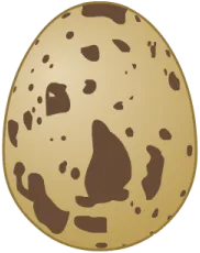 Jajo przepiórcze