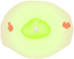 Blinking Nebula