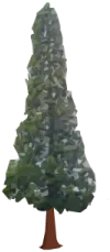 Copacul Redwood