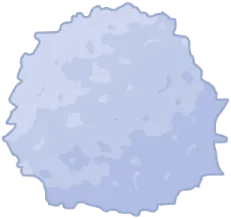 Blank-Sangaj Celoj