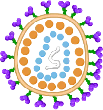 HIV