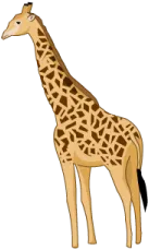Jirafa