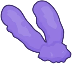 Y Chromosome
