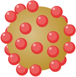 Hepatitis-B-Virus