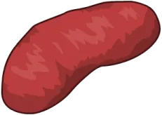 Mitochondria