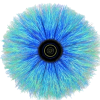 Gluon